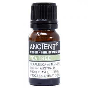 Ancient Wisdom Pure Organic Essential Oil 10ml Tea Tree