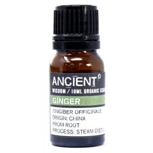 Ancient Wisdom Pure Organic Essential Oil 10ml Ginger