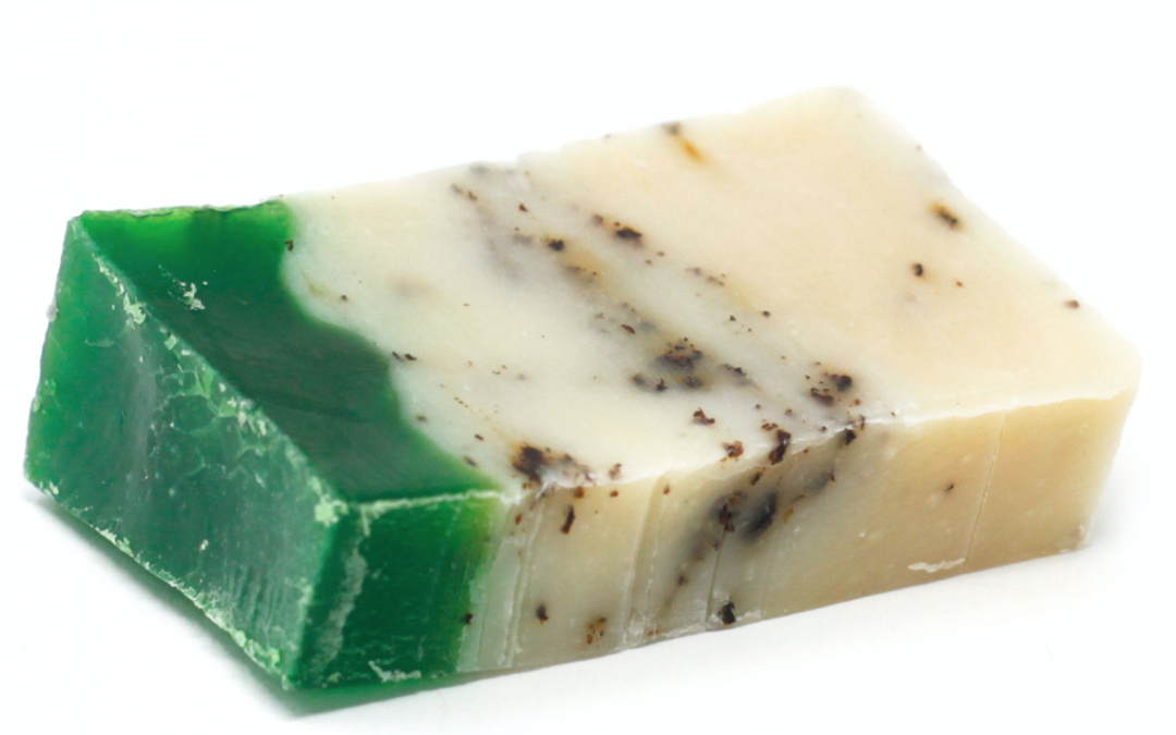 Green Tea Olive Oil Soap Slice